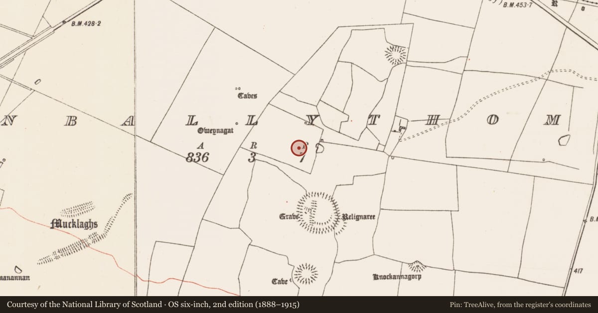 Ordnance Survey six-inch map, 2nd edition (1888–1915) covering the location of Field system, Glenballythomas, County Roscommon, with a pin at the register's coordinates