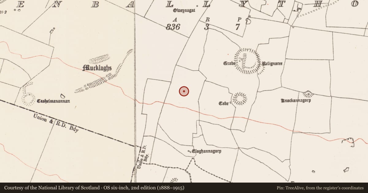 Ordnance Survey six-inch map, 2nd edition (1888–1915) covering the location of Pitfield, Glenballythomas, County Roscommon, with a pin at the register's coordinates
