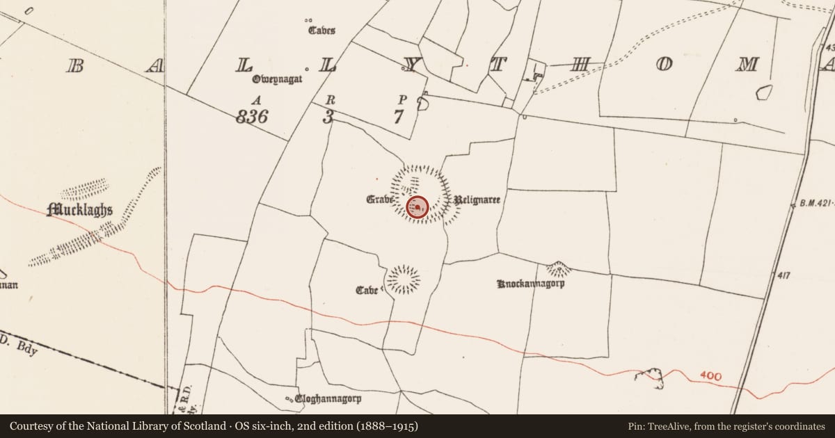 Ordnance Survey six-inch map, 2nd edition (1888–1915) covering the location of House - indeterminate date, Glenballythomas, County Roscommon, with a pin at the register's coordinates