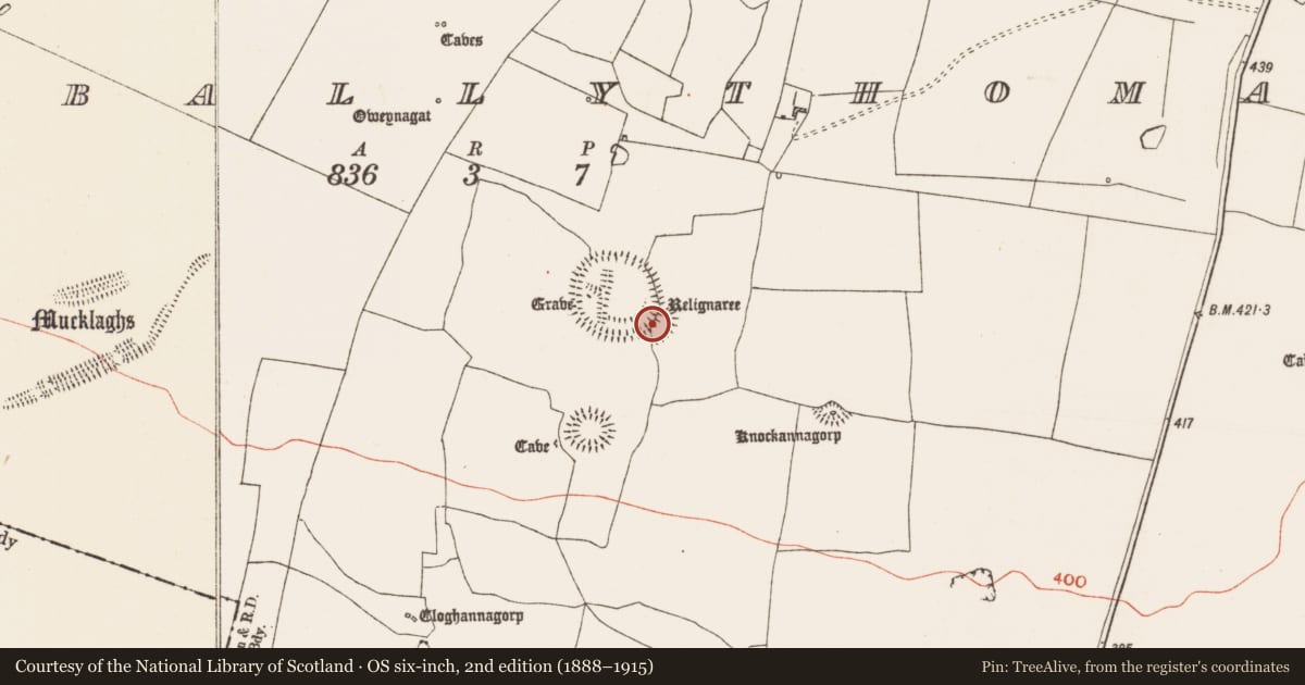 Ordnance Survey six-inch map, 2nd edition (1888–1915) covering the location of Enclosure, Glenballythomas, County Roscommon, with a pin at the register's coordinates
