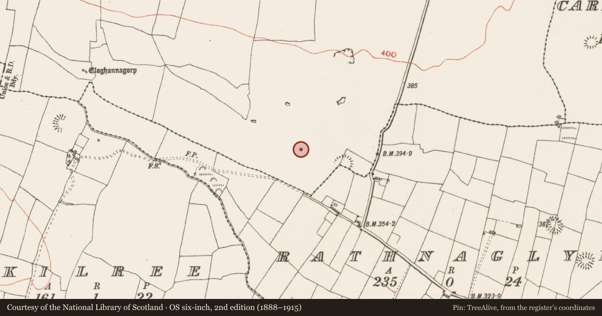 Ordnance Survey six-inch map, 2nd edition (1888–1915) covering the location of Field system, Glenballythomas, County Roscommon, with a pin at the register's coordinates