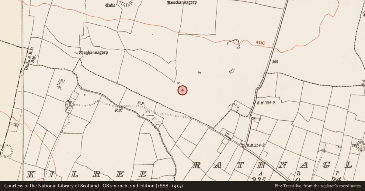 Ordnance Survey six-inch map, 2nd edition (1888–1915) covering the location of Pitfield, Glenballythomas, County Roscommon, with a pin at the register's coordinates
