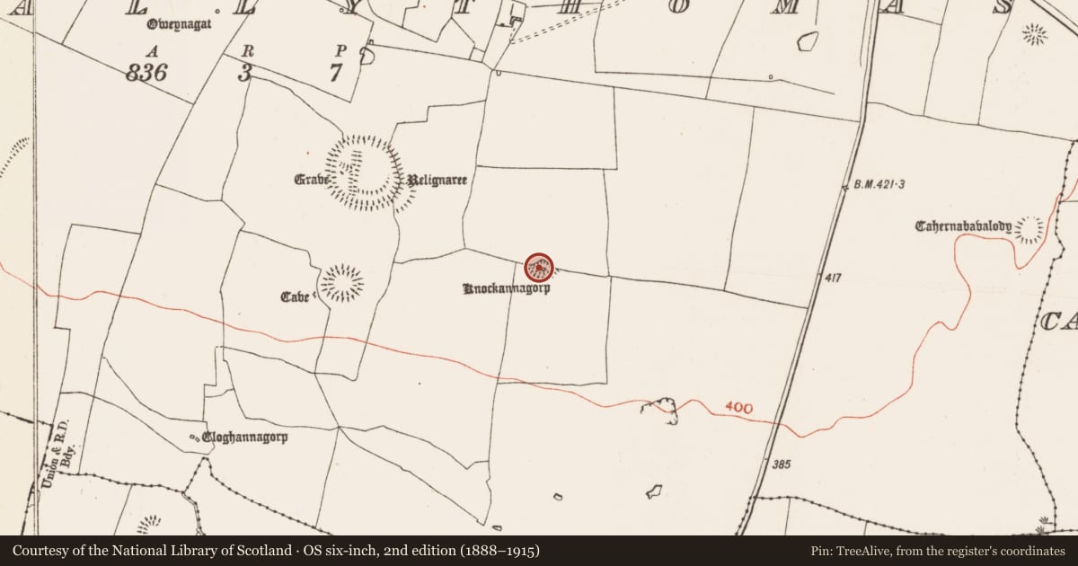 Ordnance Survey six-inch map, 2nd edition (1888–1915) covering the location of Barrow - ring-barrow, Glenballythomas, County Roscommon, with a pin at the register's coordinates