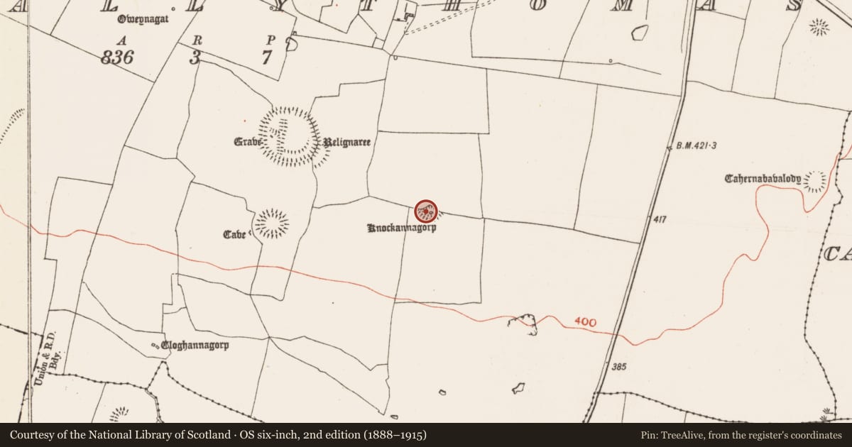 Ordnance Survey six-inch map, 2nd edition (1888–1915) covering the location of Standing stone, Glenballythomas, County Roscommon, with a pin at the register's coordinates