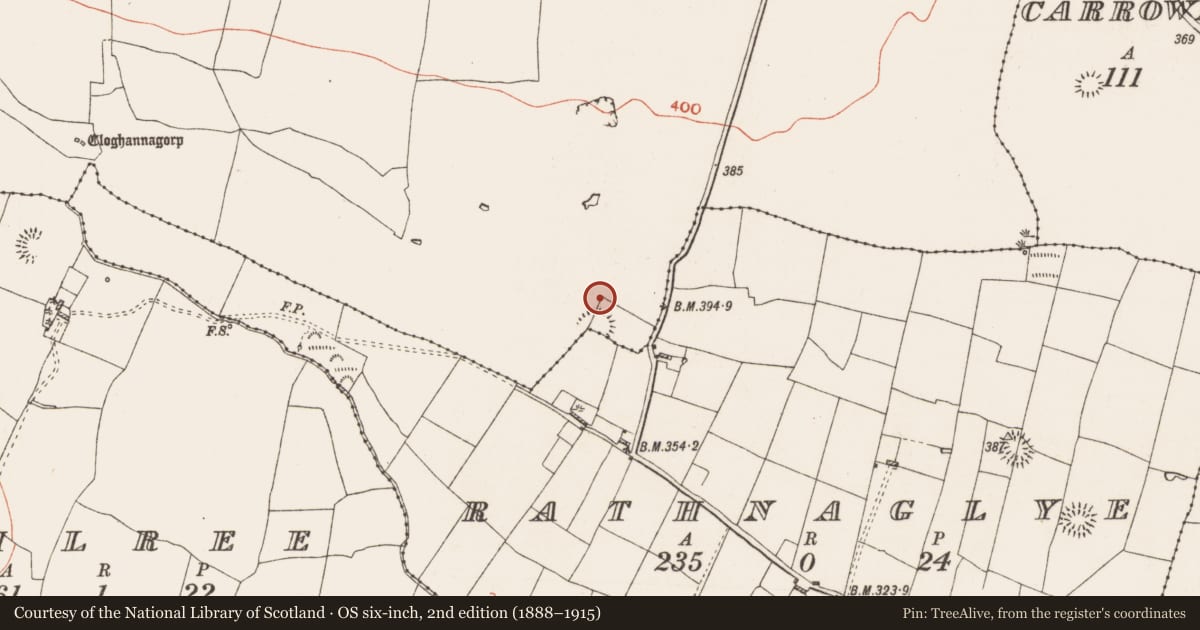 Ordnance Survey six-inch map, 2nd edition (1888–1915) covering the location of Ringfort - rath, Glenballythomas, County Roscommon, with a pin at the register's coordinates