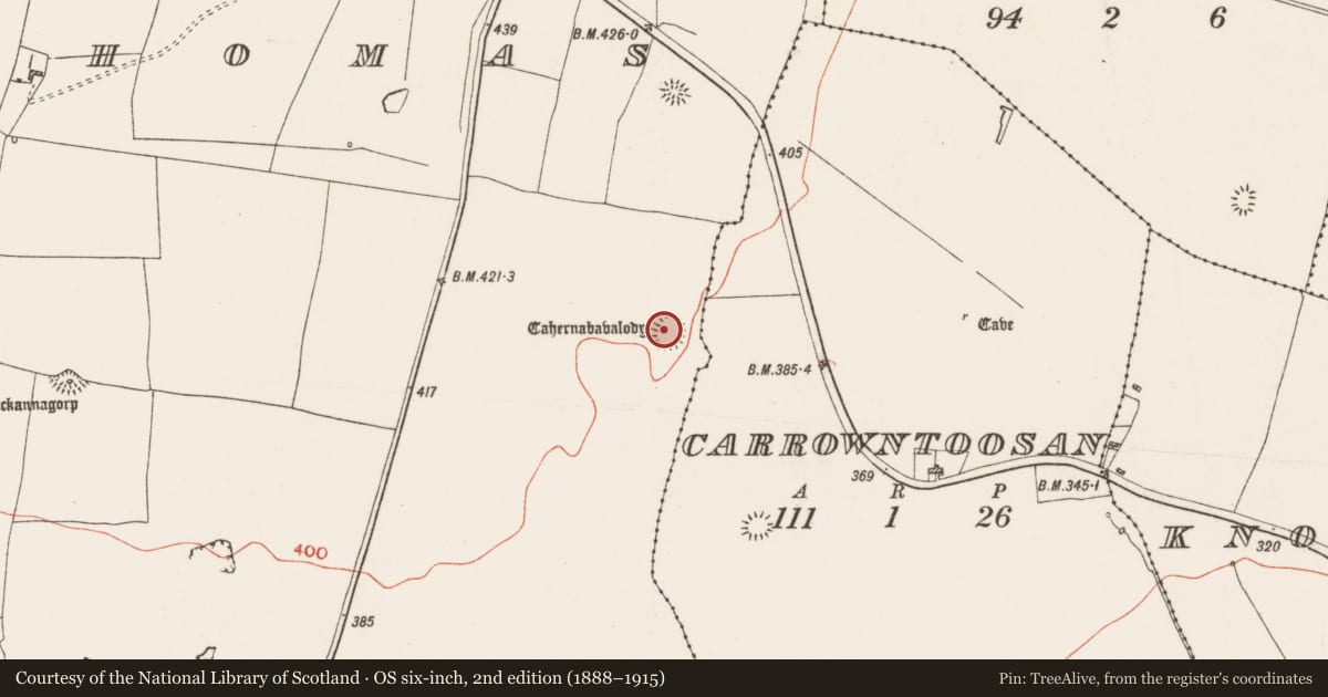 Ordnance Survey six-inch map, 2nd edition (1888–1915) covering the location of Ringfort - rath, Glenballythomas, County Roscommon, with a pin at the register's coordinates