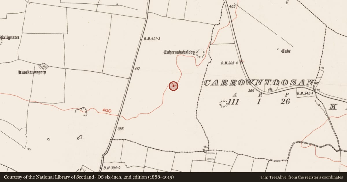 Ordnance Survey six-inch map, 2nd edition (1888–1915) covering the location of Road - road/trackway, Glenballythomas, Carrowntoosan, County Roscommon, with a pin at the register's coordinates