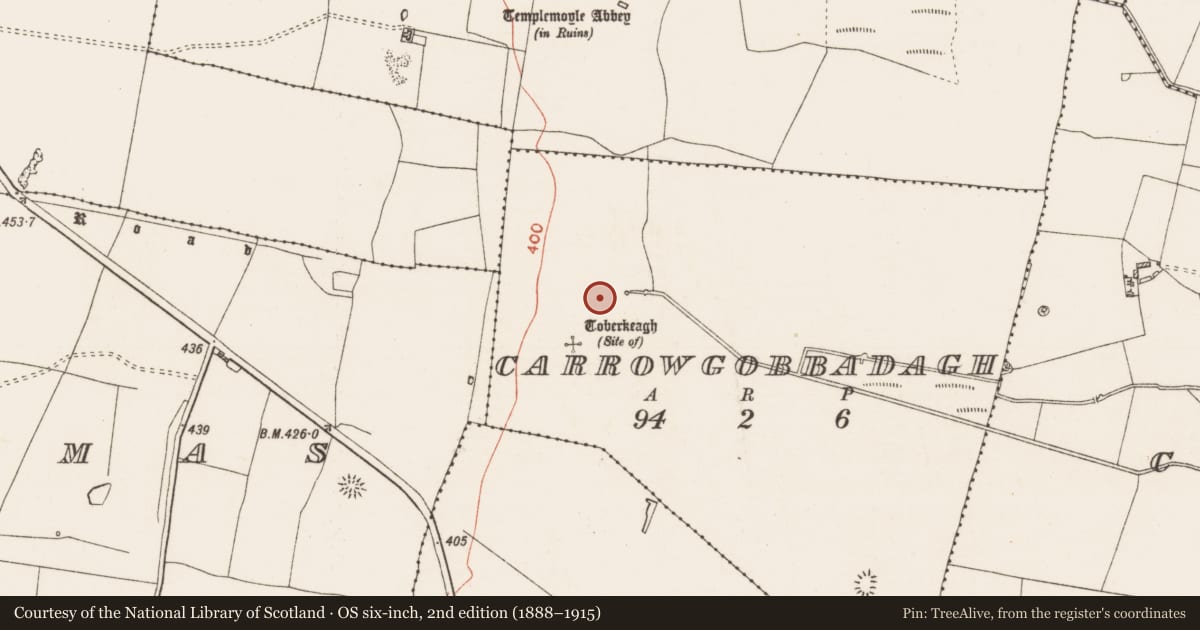 Ordnance Survey six-inch map, 2nd edition (1888–1915) covering the location of Ringfort - rath, Carrowgobbadagh, County Roscommon, with a pin at the register's coordinates