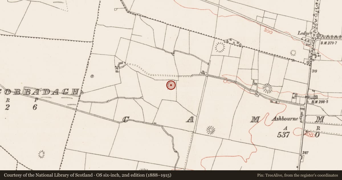 Ordnance Survey six-inch map, 2nd edition (1888–1915) covering the location of Ringfort - rath, Cammoge, County Roscommon, with a pin at the register's coordinates