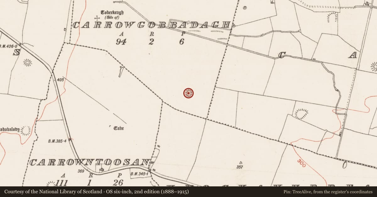 Ordnance Survey six-inch map, 2nd edition (1888–1915) covering the location of Ringfort - rath, Carrowgobbadagh, County Roscommon, with a pin at the register's coordinates