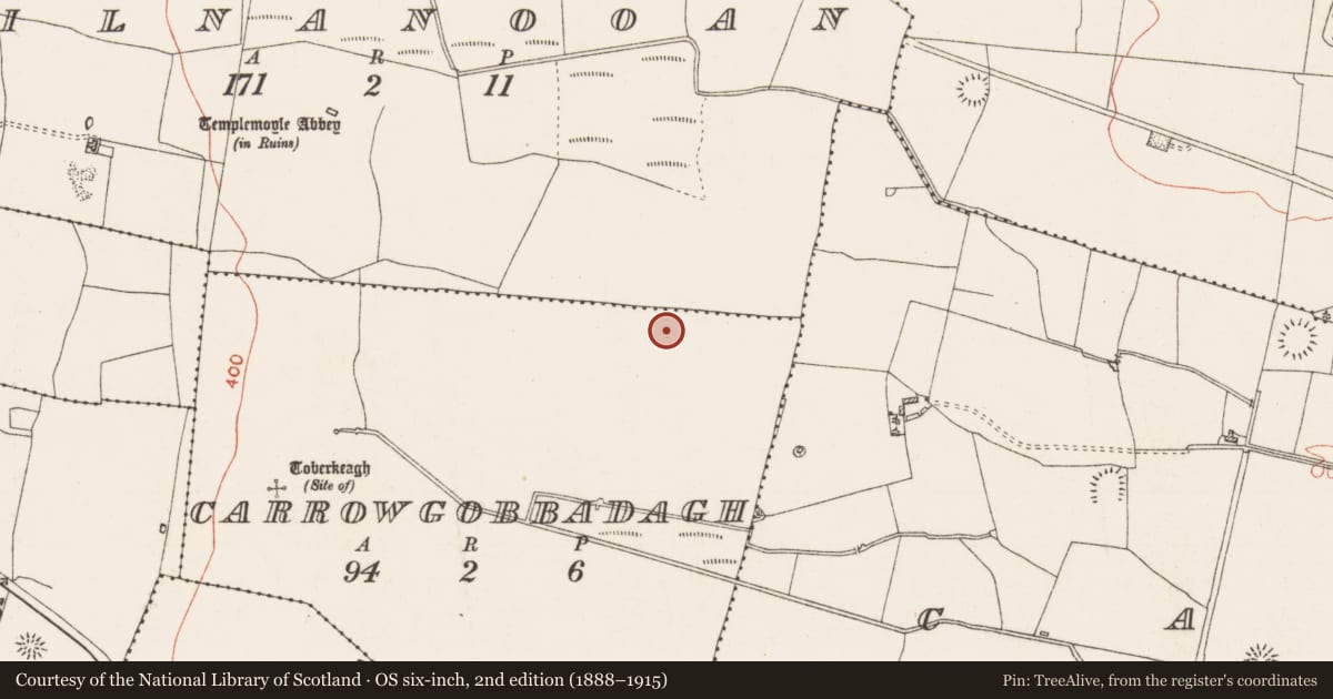 Ordnance Survey six-inch map, 2nd edition (1888–1915) covering the location of Road - road/trackway, Carrowgobbadagh, Kilnanooan, County Roscommon, with a pin at the register's coordinates