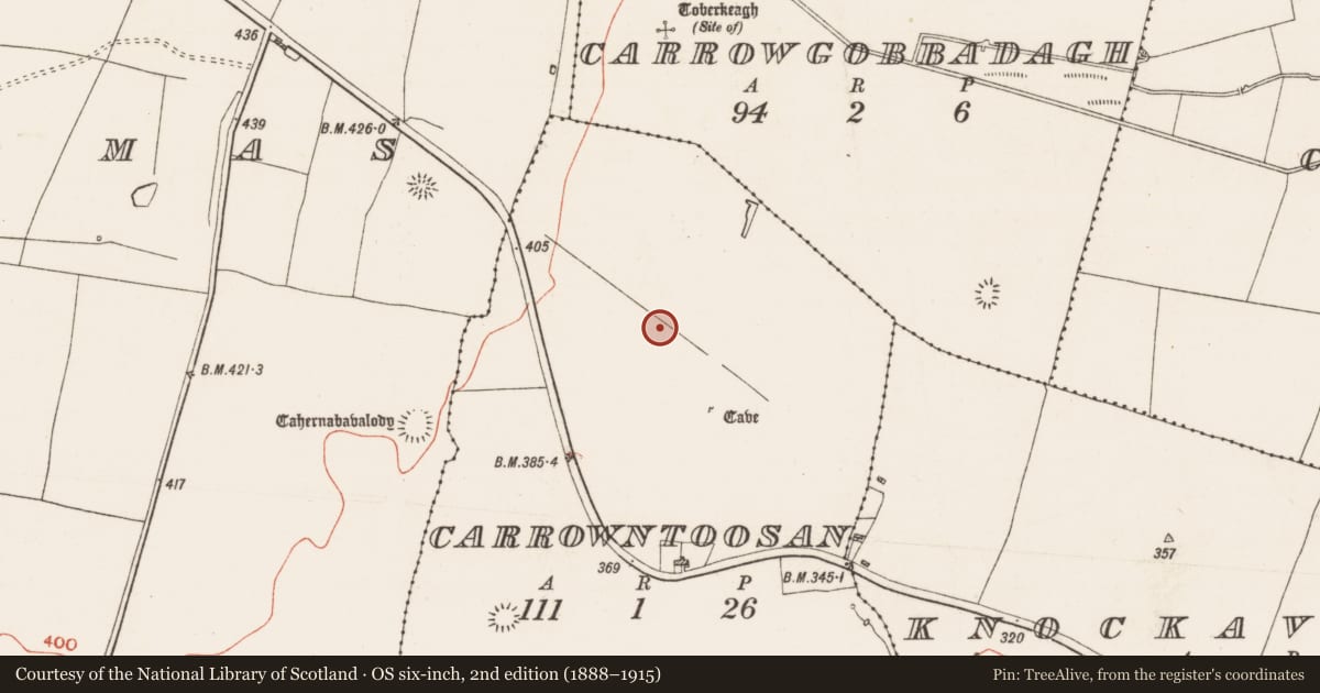 Ordnance Survey six-inch map, 2nd edition (1888–1915) covering the location of Road - road/trackway, Carrowntoosan, County Roscommon, with a pin at the register's coordinates