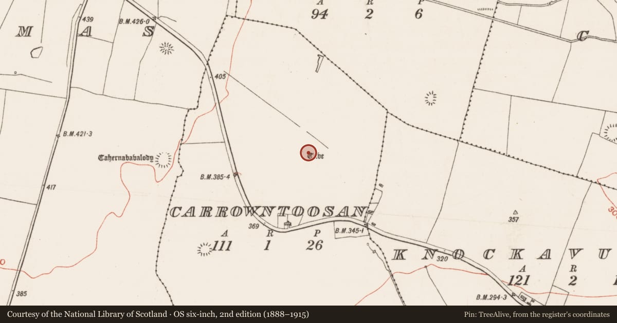 Ordnance Survey six-inch map, 2nd edition (1888–1915) covering the location of Ringfort - rath, Carrowntoosan, County Roscommon, with a pin at the register's coordinates