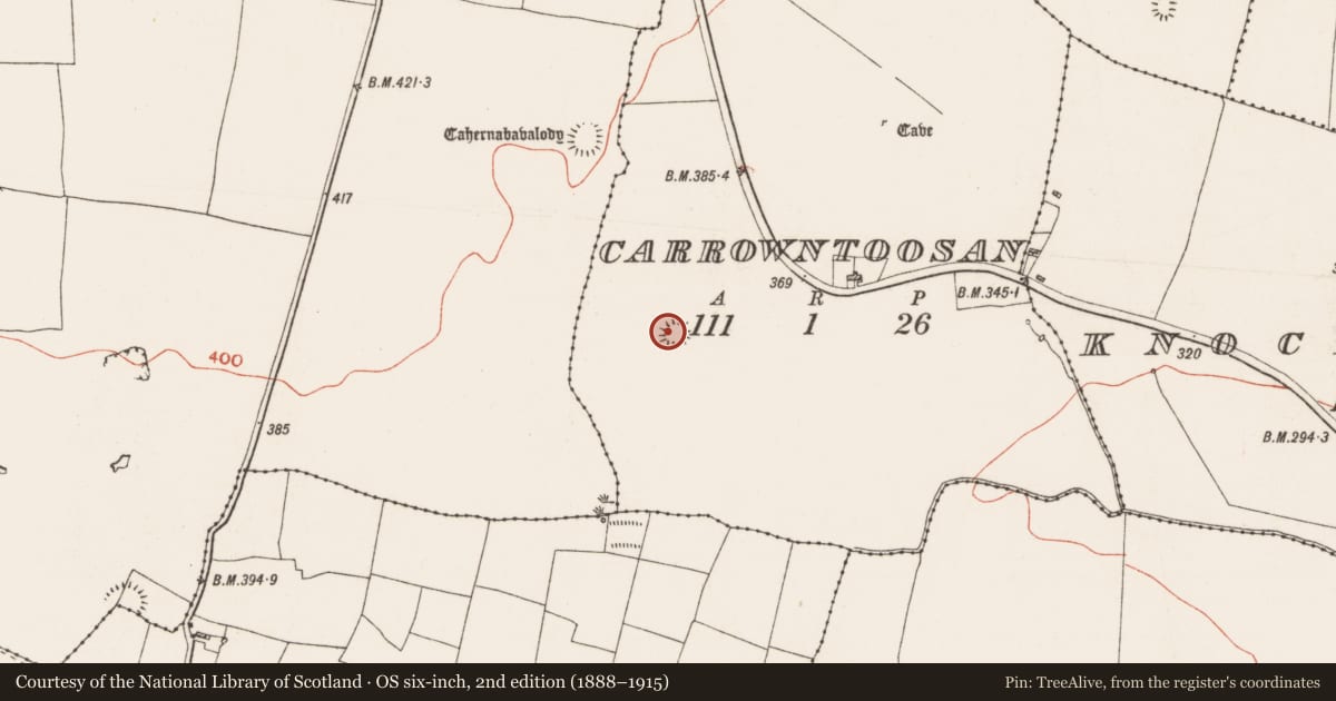 Ordnance Survey six-inch map, 2nd edition (1888–1915) covering the location of Ringfort - rath, Carrowntoosan, County Roscommon, with a pin at the register's coordinates