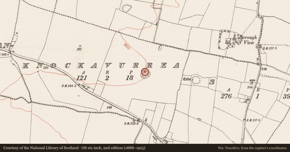 Ordnance Survey six-inch map, 2nd edition (1888–1915) covering the location of Ringfort - rath, Knockavurrea, County Roscommon, with a pin at the register's coordinates