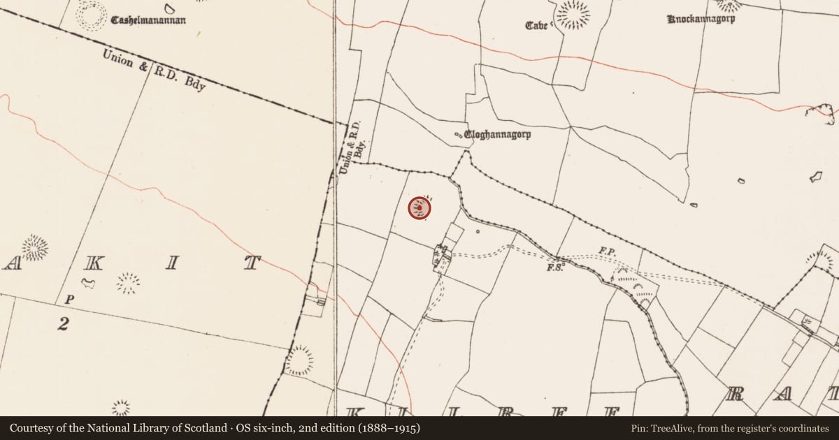 Ordnance Survey six-inch map, 2nd edition (1888–1915) covering the location of Ringfort - rath, Kilree, County Roscommon, with a pin at the register's coordinates