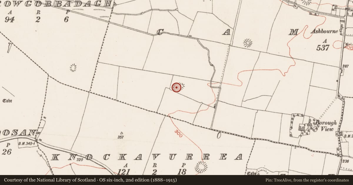 Ordnance Survey six-inch map, 2nd edition (1888–1915) covering the location of Ringfort - rath, Cammoge, County Roscommon, with a pin at the register's coordinates