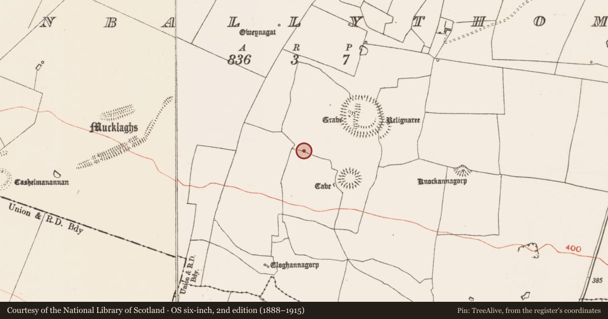 Ordnance Survey six-inch map, 2nd edition (1888–1915) covering the location of Road - road/trackway, Glenballythomas, County Roscommon, with a pin at the register's coordinates