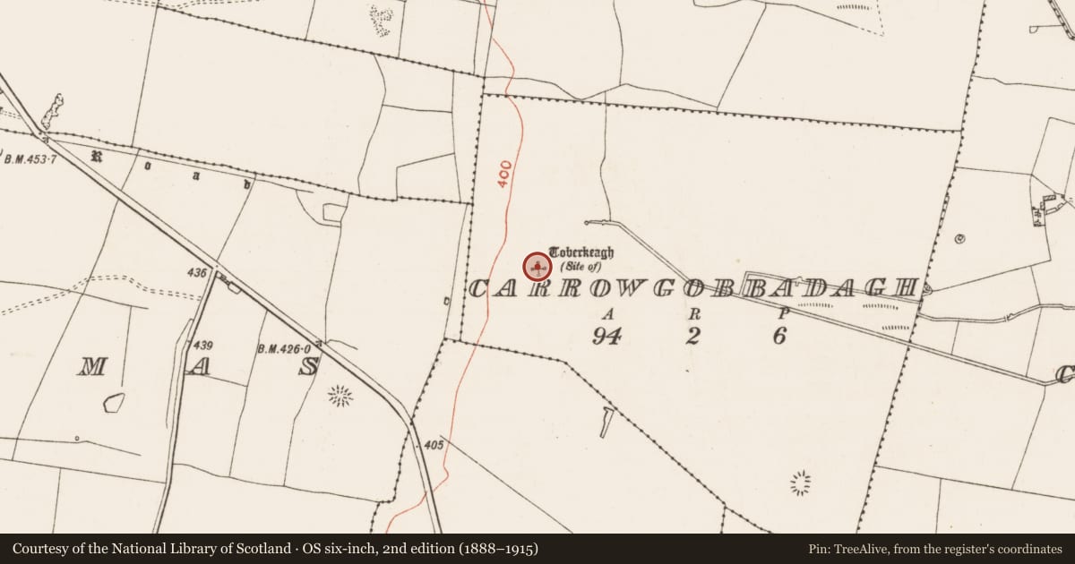 Ordnance Survey six-inch map, 2nd edition (1888–1915) covering the location of Well, Carrowgobbadagh, County Roscommon, with a pin at the register's coordinates