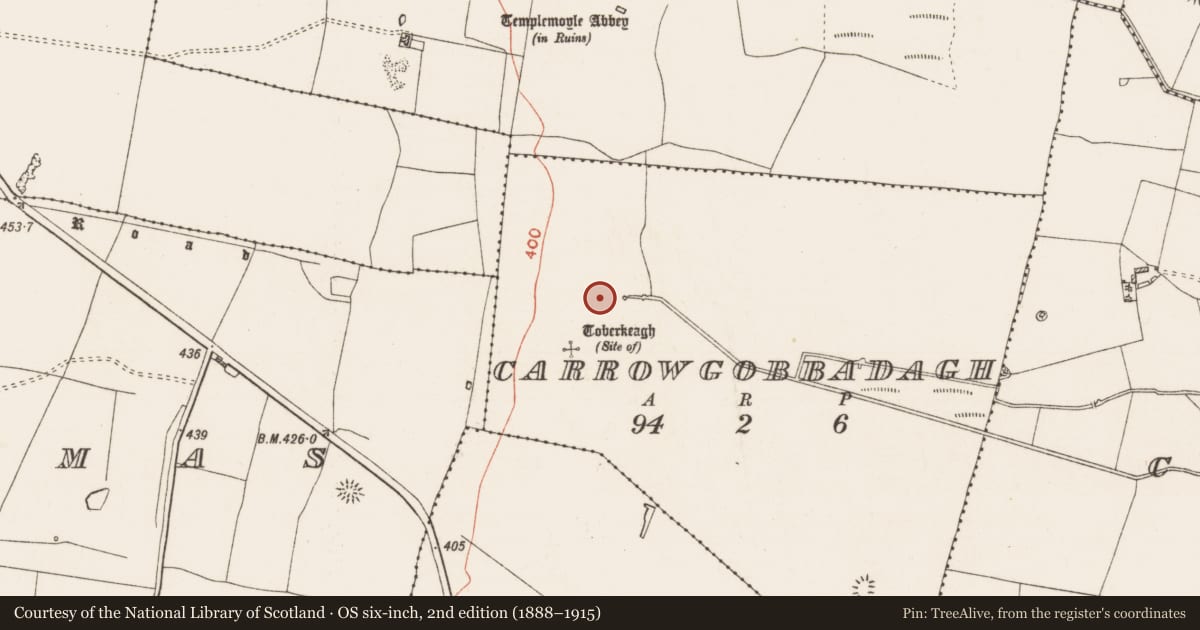 Ordnance Survey six-inch map, 2nd edition (1888–1915) covering the location of House - indeterminate date, Carrowgobbadagh, County Roscommon, with a pin at the register's coordinates
