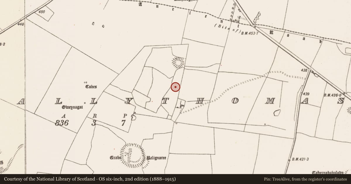 Ordnance Survey six-inch map, 2nd edition (1888–1915) covering the location of Barrow - ring-barrow, Glenballythomas, County Roscommon, with a pin at the register's coordinates