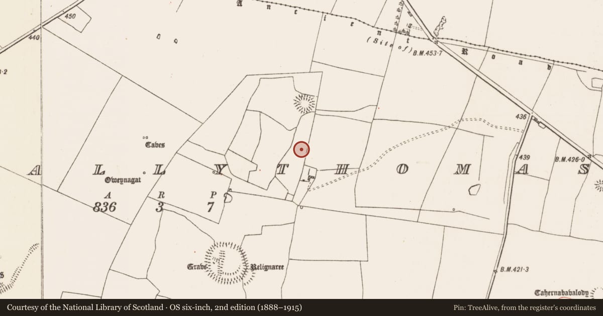 Ordnance Survey six-inch map, 2nd edition (1888–1915) covering the location of Barrow - ring-barrow, Glenballythomas, County Roscommon, with a pin at the register's coordinates