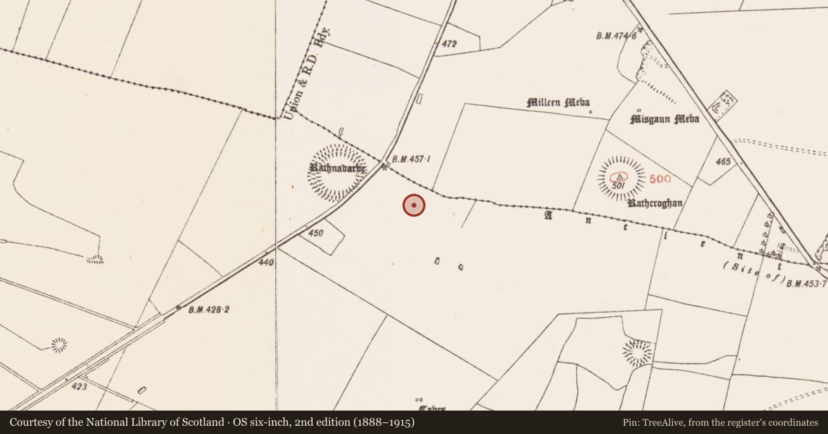 Ordnance Survey six-inch map, 2nd edition (1888–1915) covering the location of Road - road/trackway, Glenballythomas, County Roscommon, with a pin at the register's coordinates