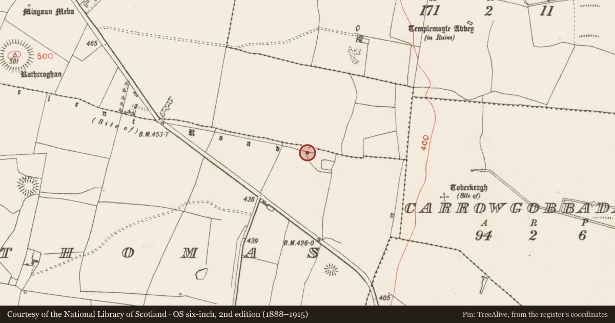 Ordnance Survey six-inch map, 2nd edition (1888–1915) covering the location of House - indeterminate date, Glenballythomas, County Roscommon, with a pin at the register's coordinates