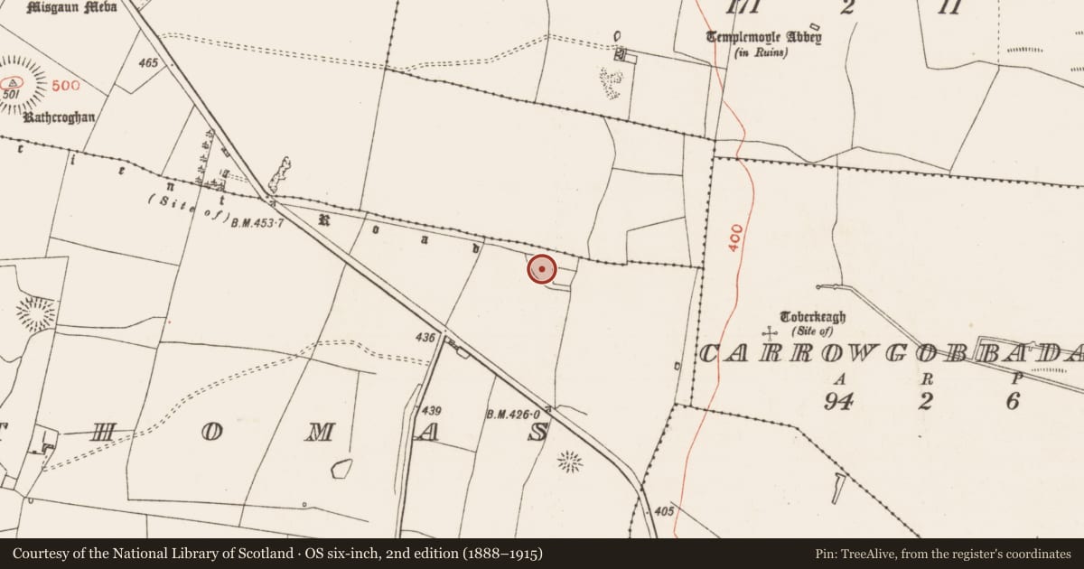 Ordnance Survey six-inch map, 2nd edition (1888–1915) covering the location of House - indeterminate date, Glenballythomas, County Roscommon, with a pin at the register's coordinates