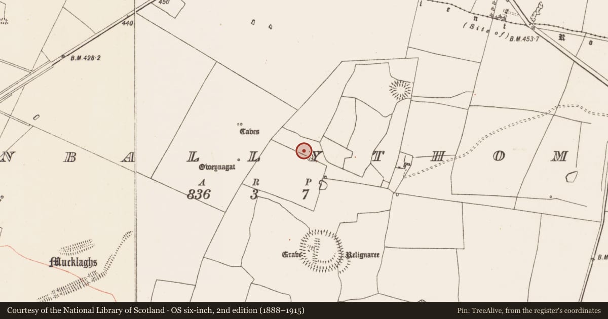 Ordnance Survey six-inch map, 2nd edition (1888–1915) covering the location of House - indeterminate date, Glenballythomas, County Roscommon, with a pin at the register's coordinates