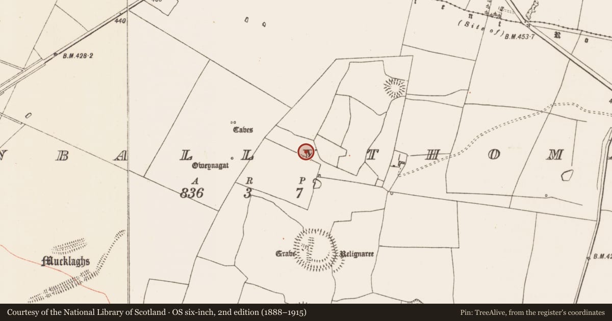 Ordnance Survey six-inch map, 2nd edition (1888–1915) covering the location of House - indeterminate date, Glenballythomas, County Roscommon, with a pin at the register's coordinates