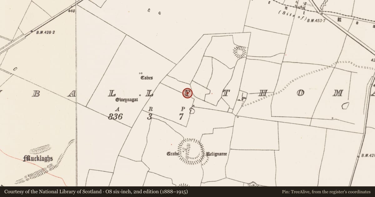Ordnance Survey six-inch map, 2nd edition (1888–1915) covering the location of House - indeterminate date, Glenballythomas, County Roscommon, with a pin at the register's coordinates
