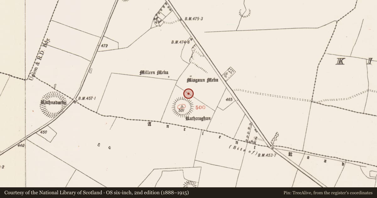 Ordnance Survey six-inch map, 2nd edition (1888–1915) covering the location of Enclosure, Toberrory, County Roscommon, with a pin at the register's coordinates