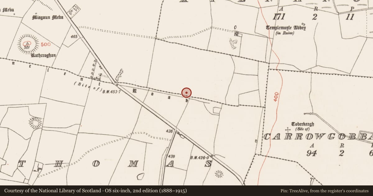 Ordnance Survey six-inch map, 2nd edition (1888–1915) covering the location of House - indeterminate date, Toberrory, County Roscommon, with a pin at the register's coordinates