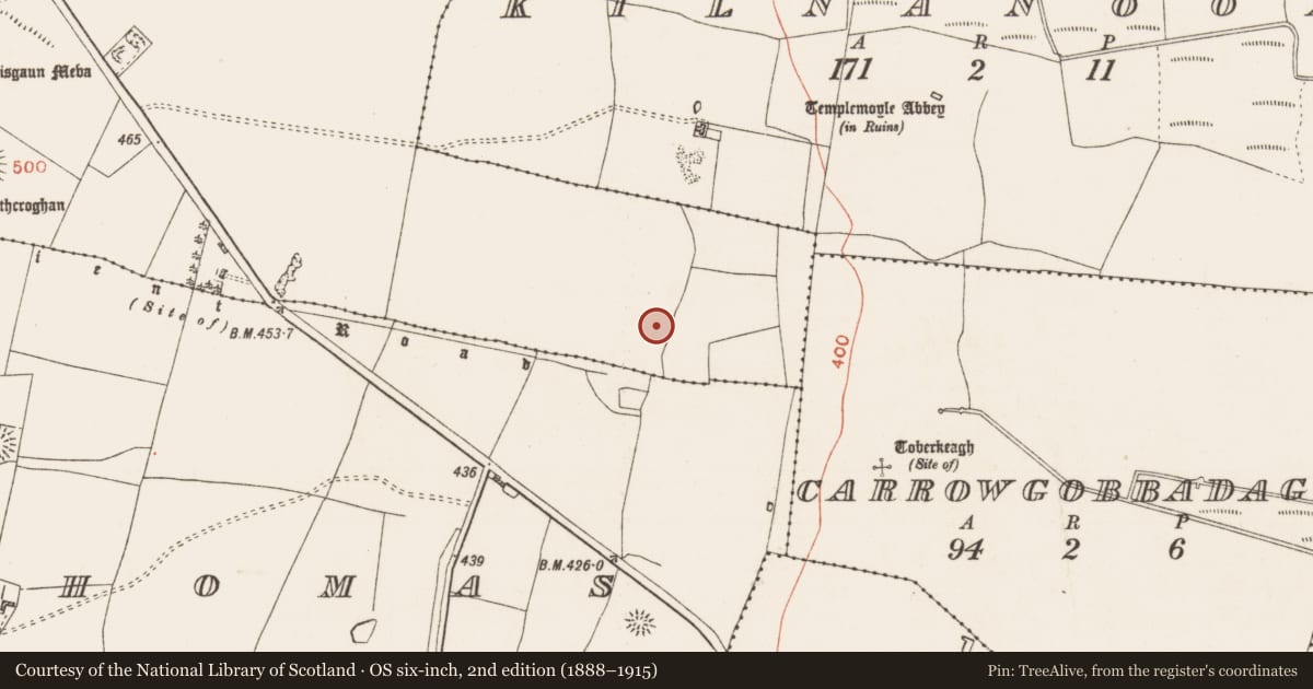 Ordnance Survey six-inch map, 2nd edition (1888–1915) covering the location of House - indeterminate date, Toberrory, County Roscommon, with a pin at the register's coordinates