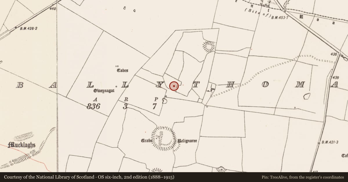 Ordnance Survey six-inch map, 2nd edition (1888–1915) covering the location of House - indeterminate date, Glenballythomas, County Roscommon, with a pin at the register's coordinates