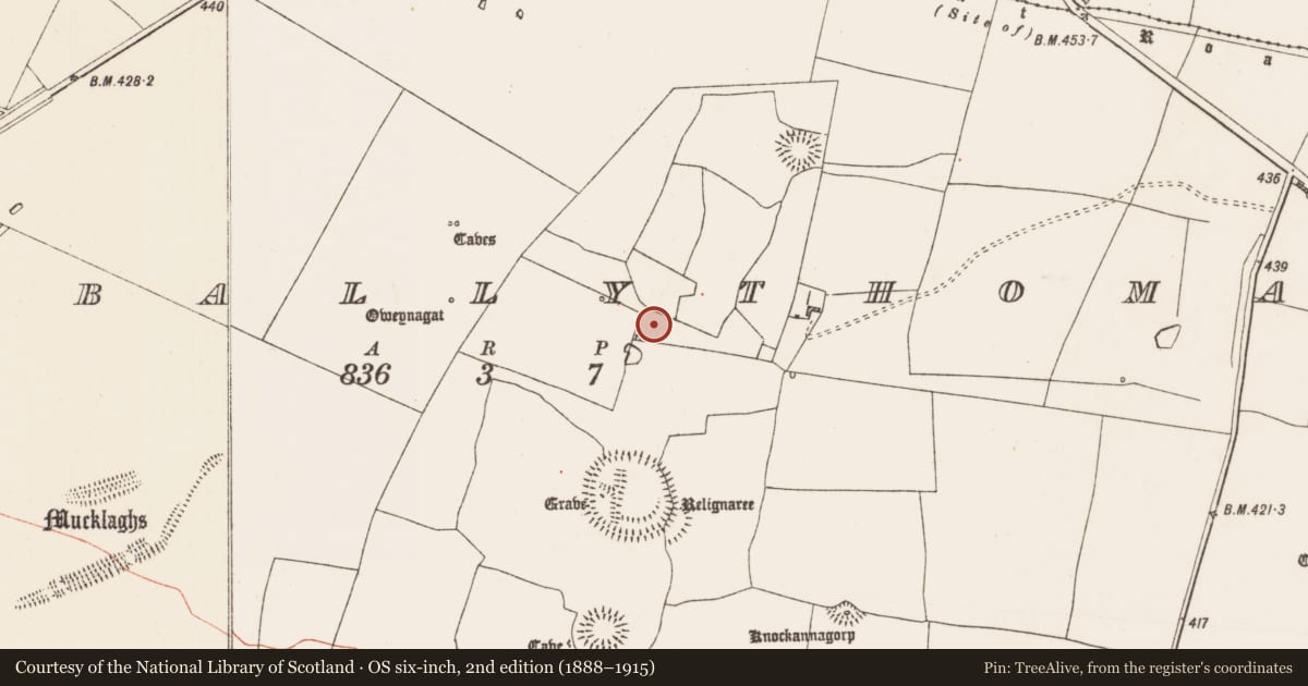 Ordnance Survey six-inch map, 2nd edition (1888–1915) covering the location of House - indeterminate date, Glenballythomas, County Roscommon, with a pin at the register's coordinates