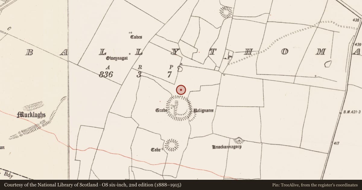 Ordnance Survey six-inch map, 2nd edition (1888–1915) covering the location of House - indeterminate date, Glenballythomas, County Roscommon, with a pin at the register's coordinates
