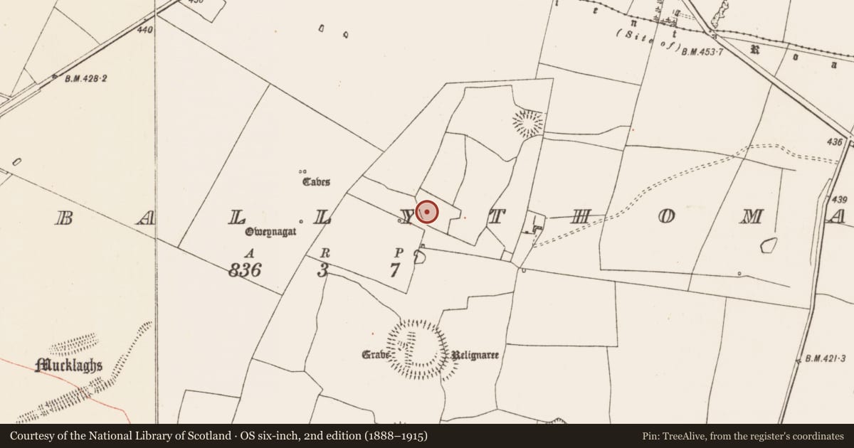 Ordnance Survey six-inch map, 2nd edition (1888–1915) covering the location of Settlement cluster, Glenballythomas, County Roscommon, with a pin at the register's coordinates
