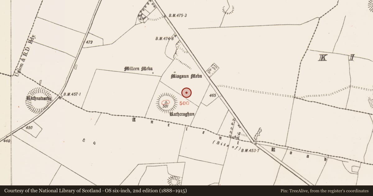 Ordnance Survey six-inch map, 2nd edition (1888–1915) covering the location of Linear earthwork, Toberrory, County Roscommon, with a pin at the register's coordinates
