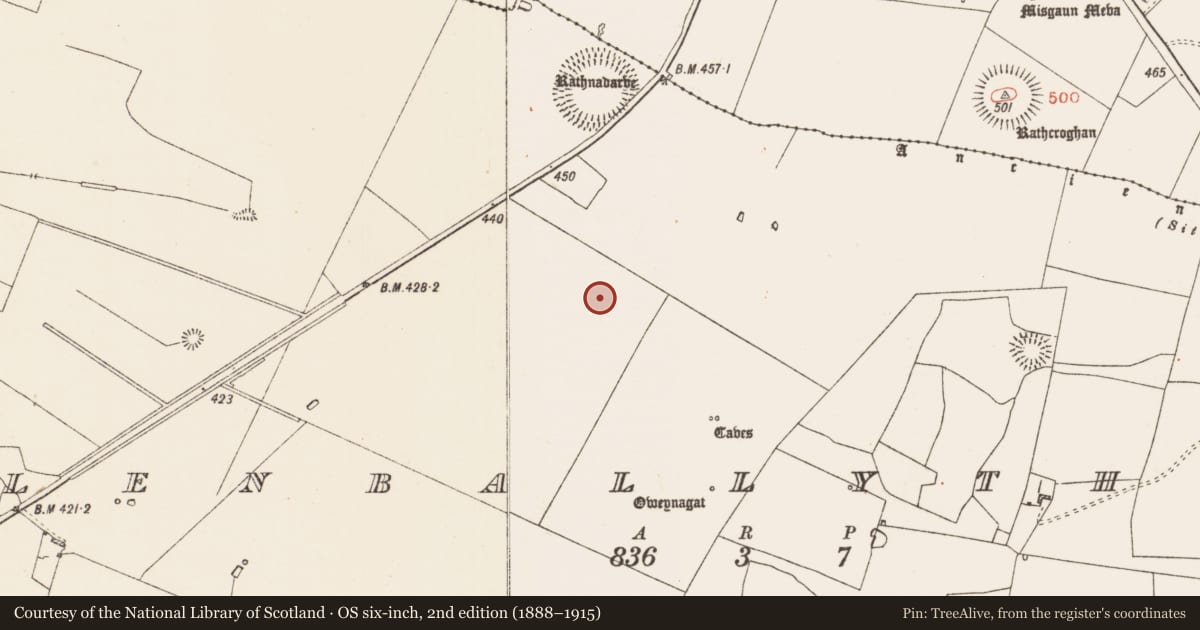 Ordnance Survey six-inch map, 2nd edition (1888–1915) covering the location of Road - road/trackway, Glenballythomas, County Roscommon, with a pin at the register's coordinates