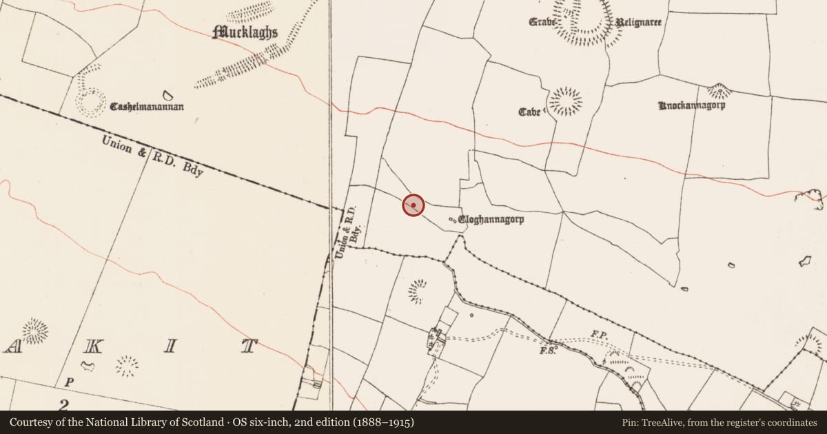 Ordnance Survey six-inch map, 2nd edition (1888–1915) covering the location of Enclosure, Glenballythomas, County Roscommon, with a pin at the register's coordinates