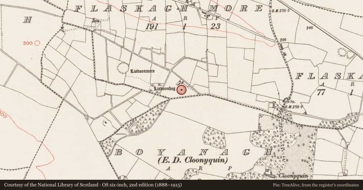 Ordnance Survey six-inch map, 2nd edition (1888–1915) covering the location of Earthwork, Flaskagh More, County Roscommon, with a pin at the register's coordinates