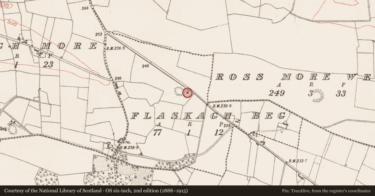 Ordnance Survey six-inch map, 2nd edition (1888–1915) covering the location of Ringfort - rath, Flaskagh Beg, County Roscommon, with a pin at the register's coordinates