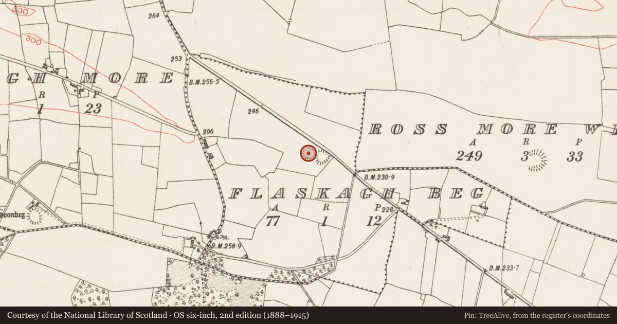 Ordnance Survey six-inch map, 2nd edition (1888–1915) covering the location of Hut site, Flaskagh Beg, County Roscommon, with a pin at the register's coordinates