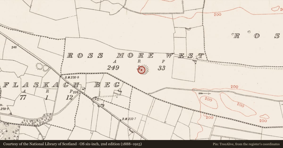Ordnance Survey six-inch map, 2nd edition (1888–1915) covering the location of Ringfort - rath, Ross More West, County Roscommon, with a pin at the register's coordinates