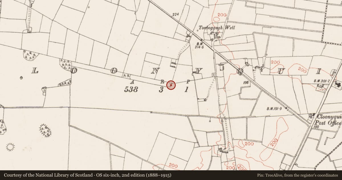 Ordnance Survey six-inch map, 2nd edition (1888–1915) covering the location of Ringfort - rath, Cloonyquin, County Roscommon, with a pin at the register's coordinates