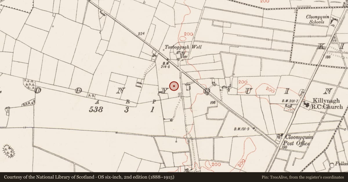 Ordnance Survey six-inch map, 2nd edition (1888–1915) covering the location of Ringfort - rath, Cloonyquin, County Roscommon, with a pin at the register's coordinates