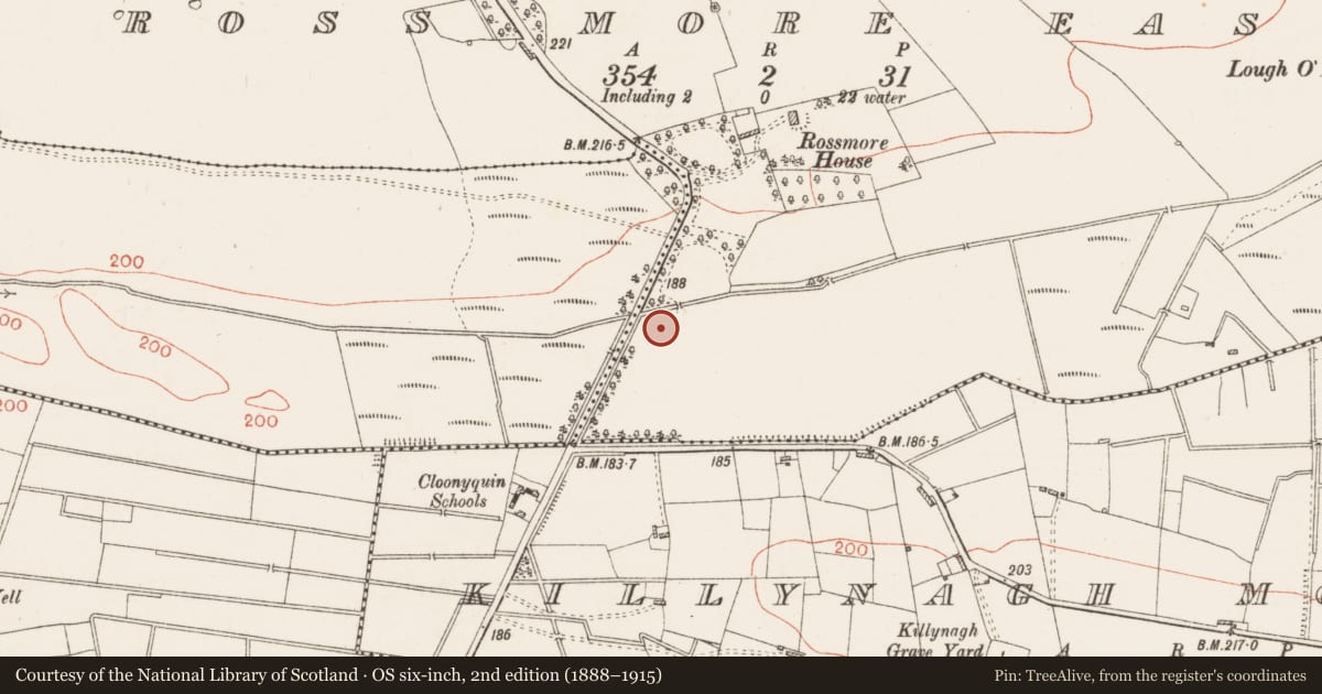 Ordnance Survey six-inch map, 2nd edition (1888–1915) covering the location of Ringfort - rath, Ross More East, County Roscommon, with a pin at the register's coordinates