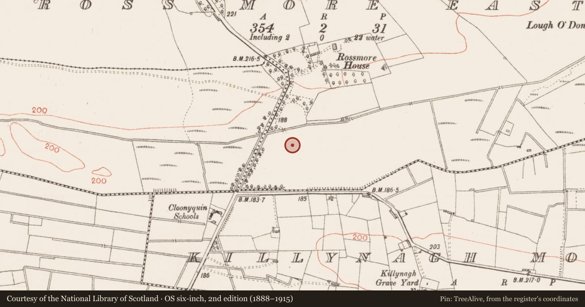 Ordnance Survey six-inch map, 2nd edition (1888–1915) covering the location of Ringfort - rath, Ross More East, County Roscommon, with a pin at the register's coordinates